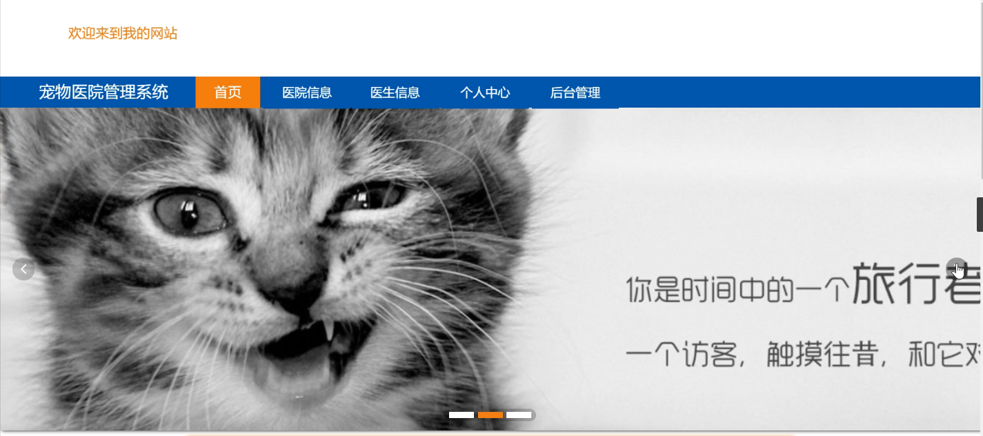 1045基于JAVA宠物医院管理系统管理系统带论文