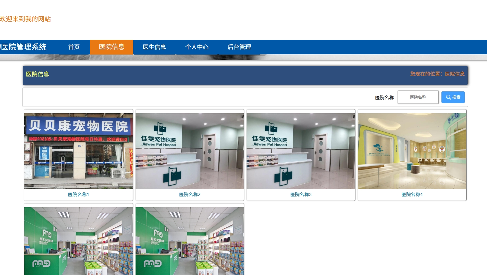 1045基于JAVA宠物医院管理系统管理系统源码带文档